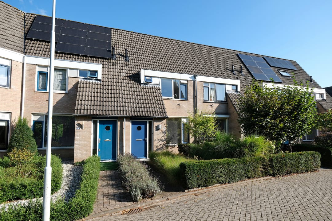 Foto 1 van Honingklaver 7