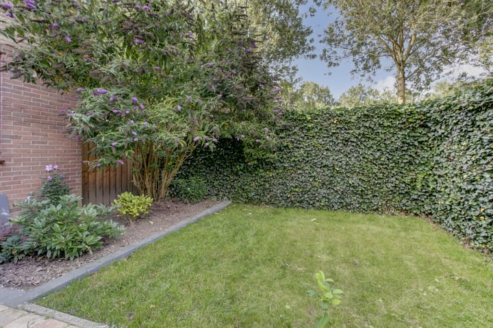 Foto 59 van De Zate 42