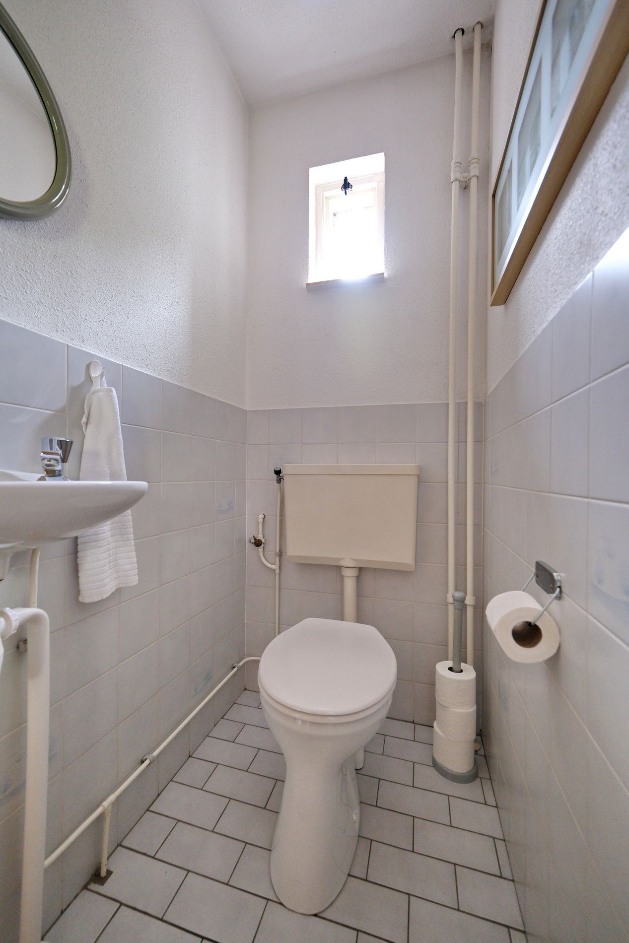 Foto 9 van Honingklaver 7