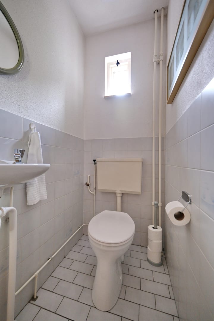 Foto 9 van Honingklaver 7