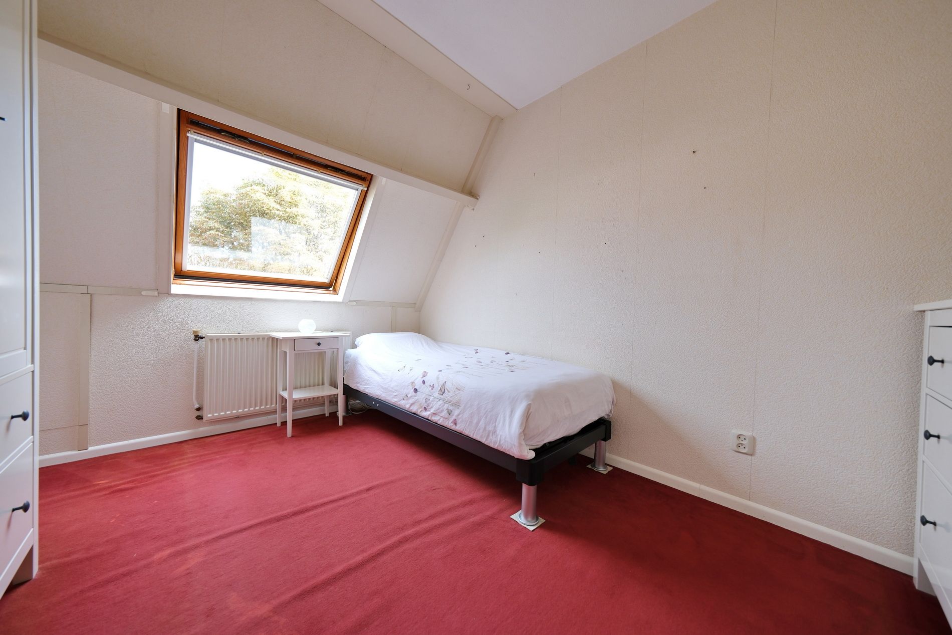 Foto 12 van Honingklaver 7