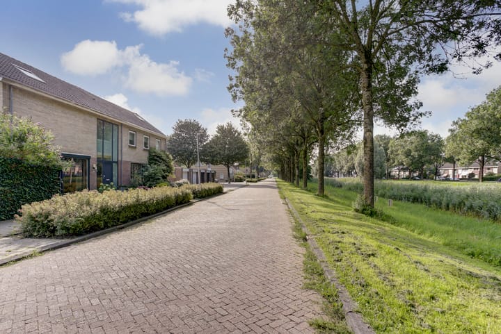 Foto 67 van De Zate 42