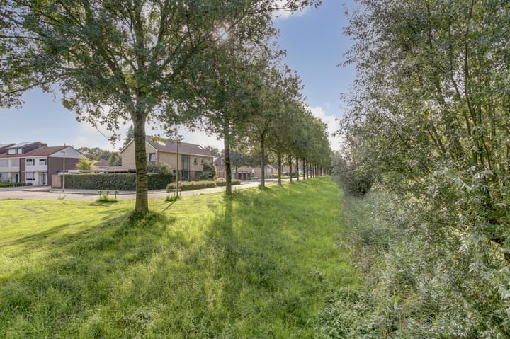 Foto 68 van De Zate 42