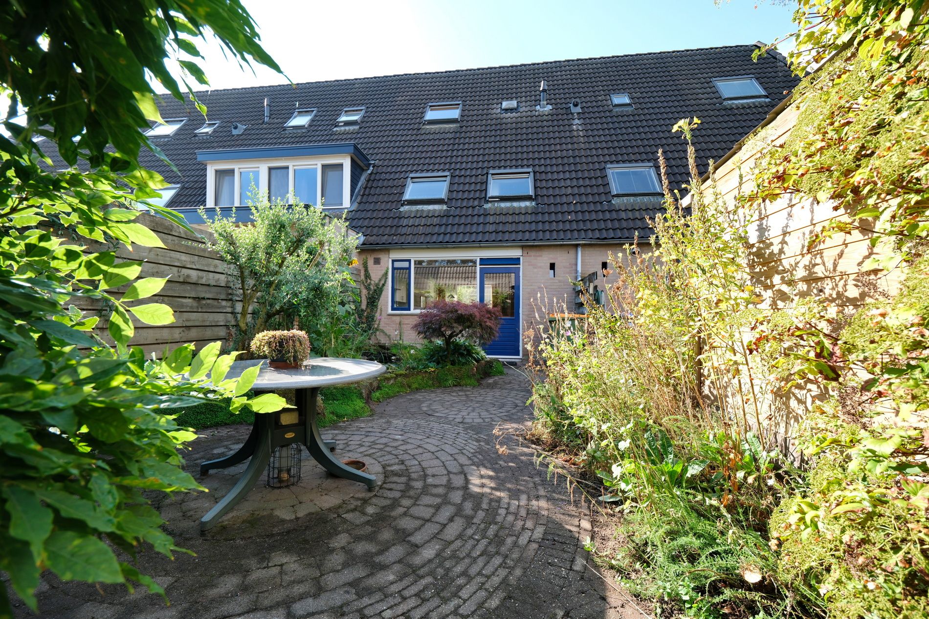 Foto 21 van Honingklaver 7