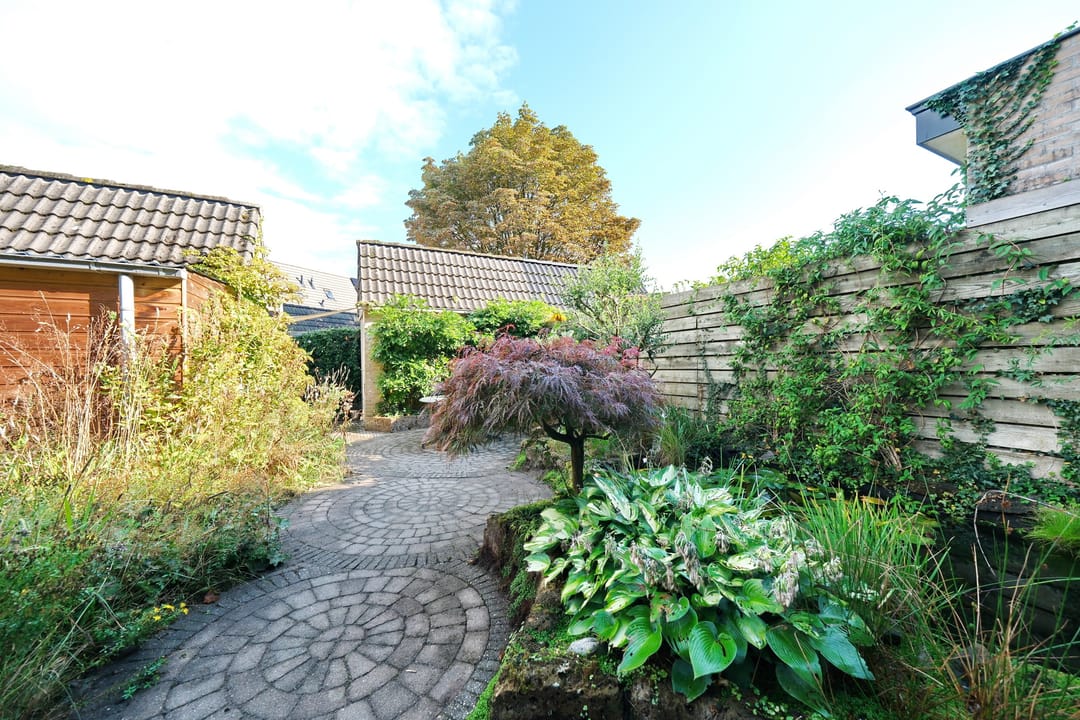 Foto 22 van Honingklaver 7