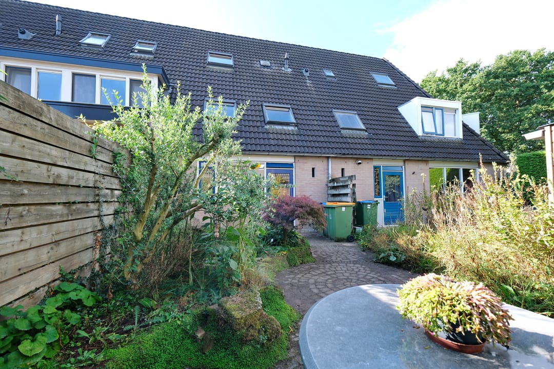 Foto 23 van Honingklaver 7