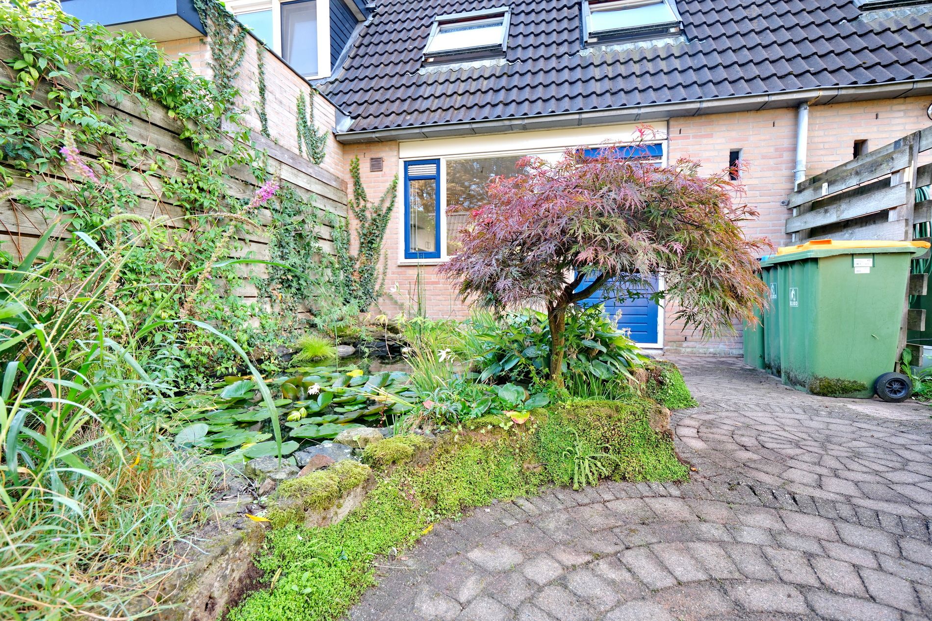 Foto 24 van Honingklaver 7