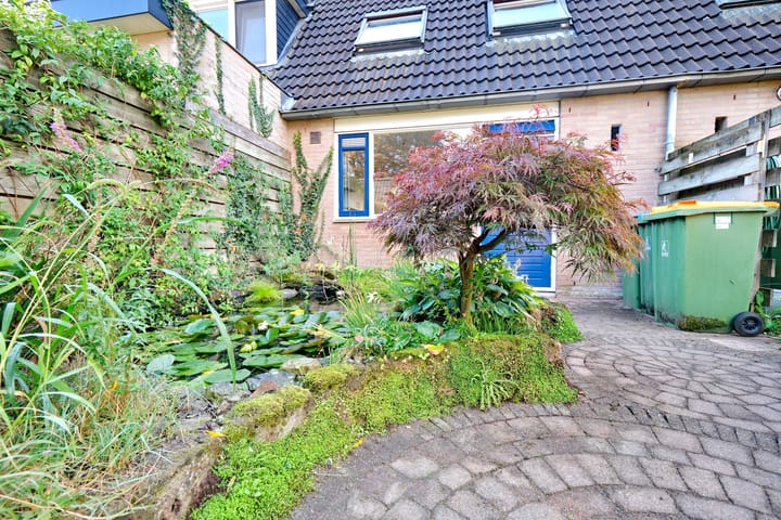 Foto 24 van Honingklaver 7