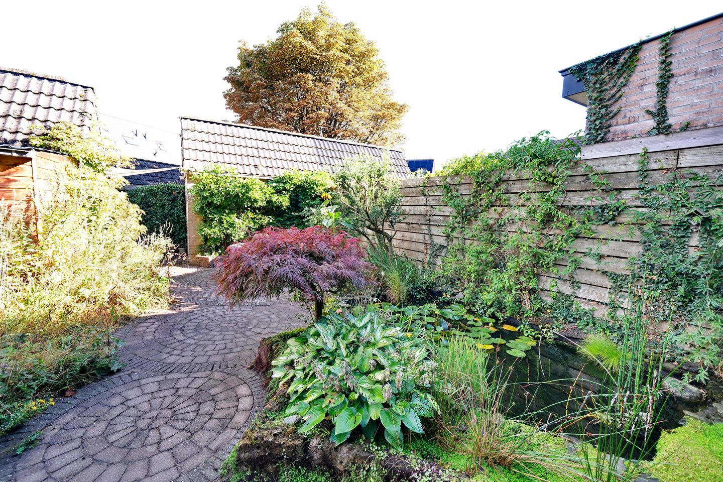 Foto 25 van Honingklaver 7