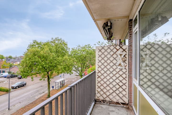 Foto 5 van Maassingel 310