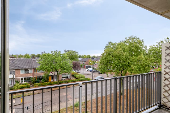 Foto 24 van Maassingel 310