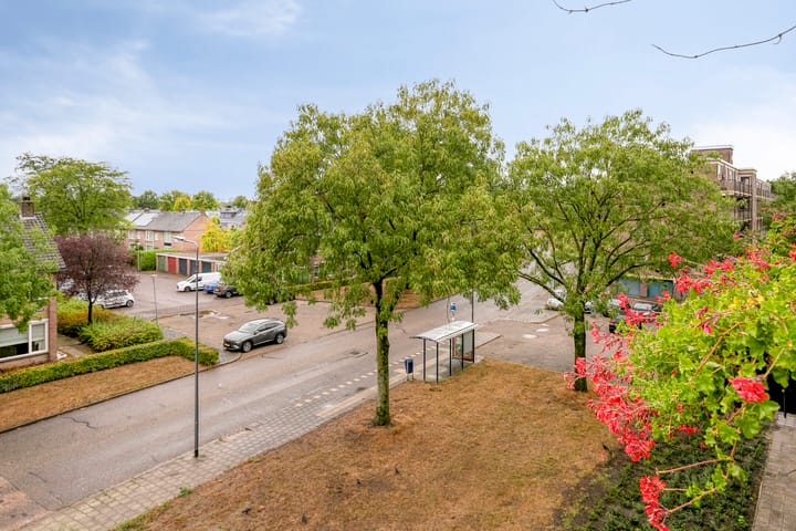 Foto 25 van Maassingel 310