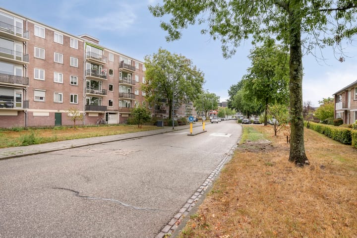 Foto 33 van Maassingel 310