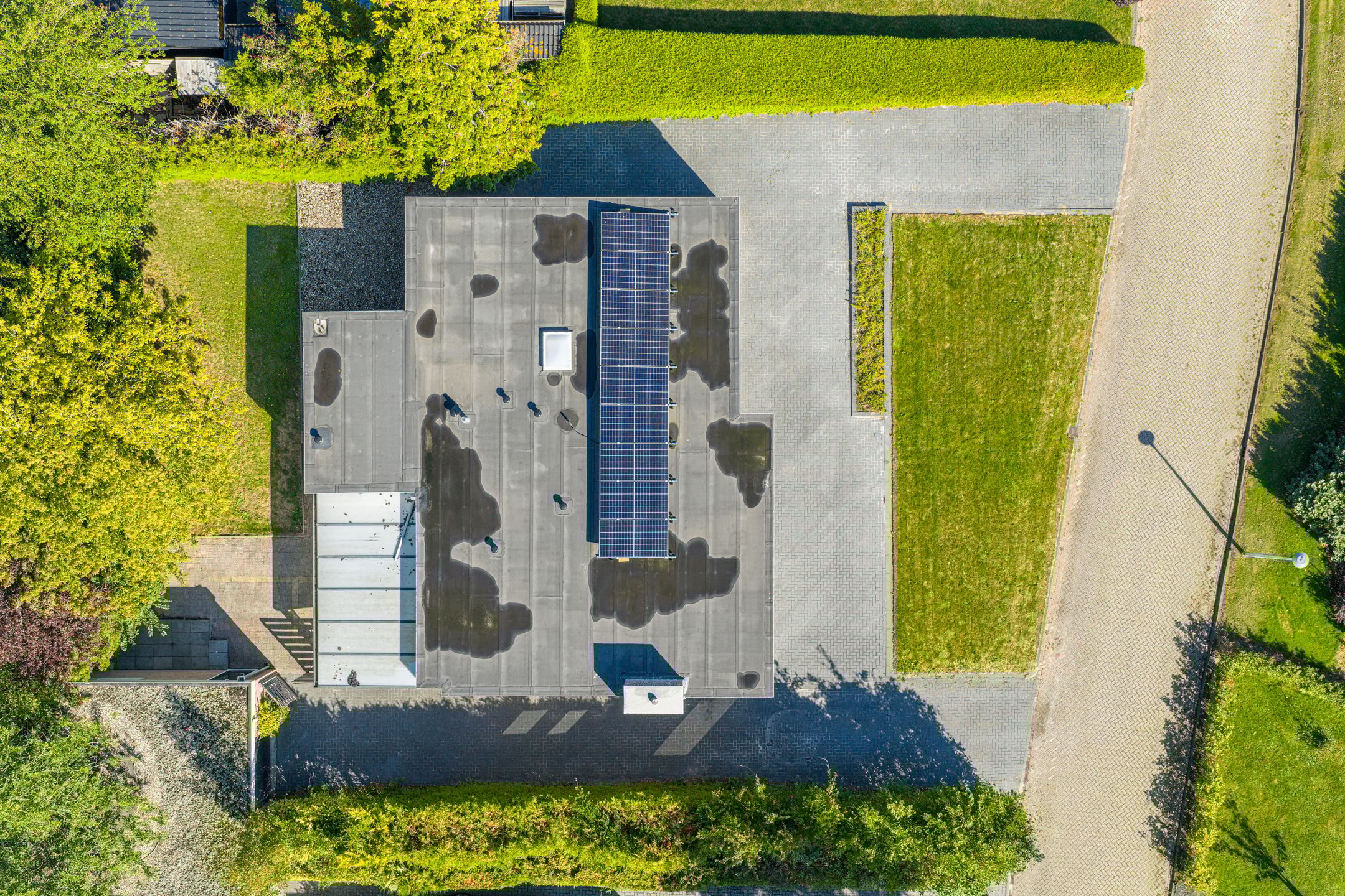 Foto 9 van De Woudhorne 26