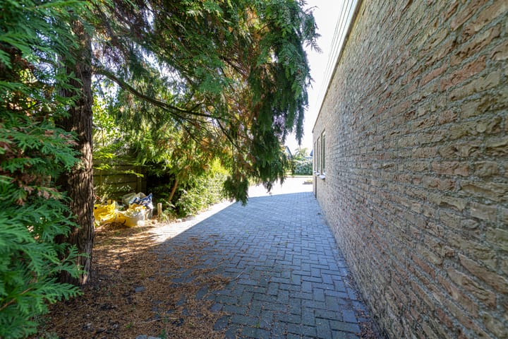 Photo 62 of De Woudhorne 26