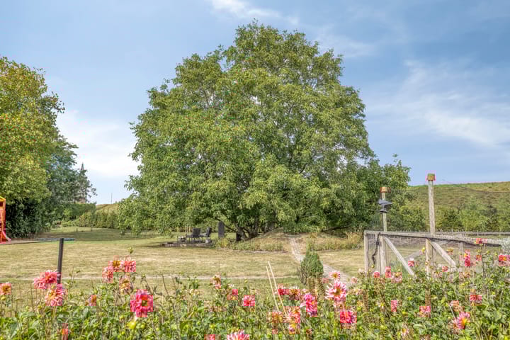 Foto 29 van van Lyndenstraat 11