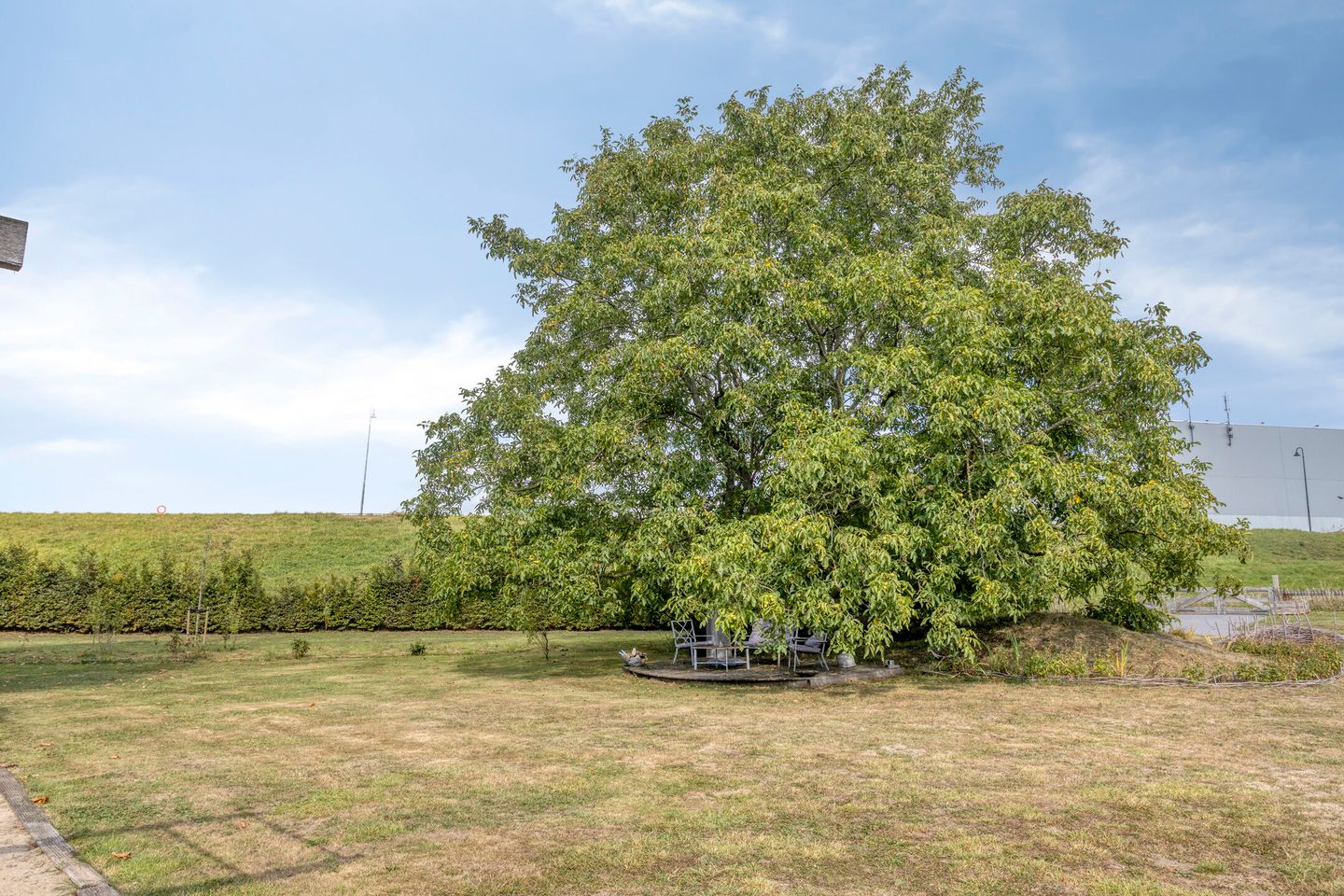 Foto 40 van van Lyndenstraat 11