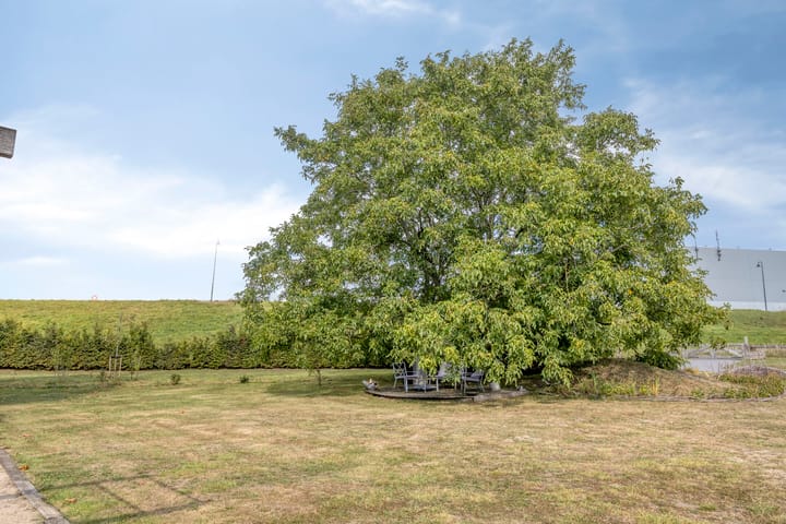 Foto 40 van van Lyndenstraat 11