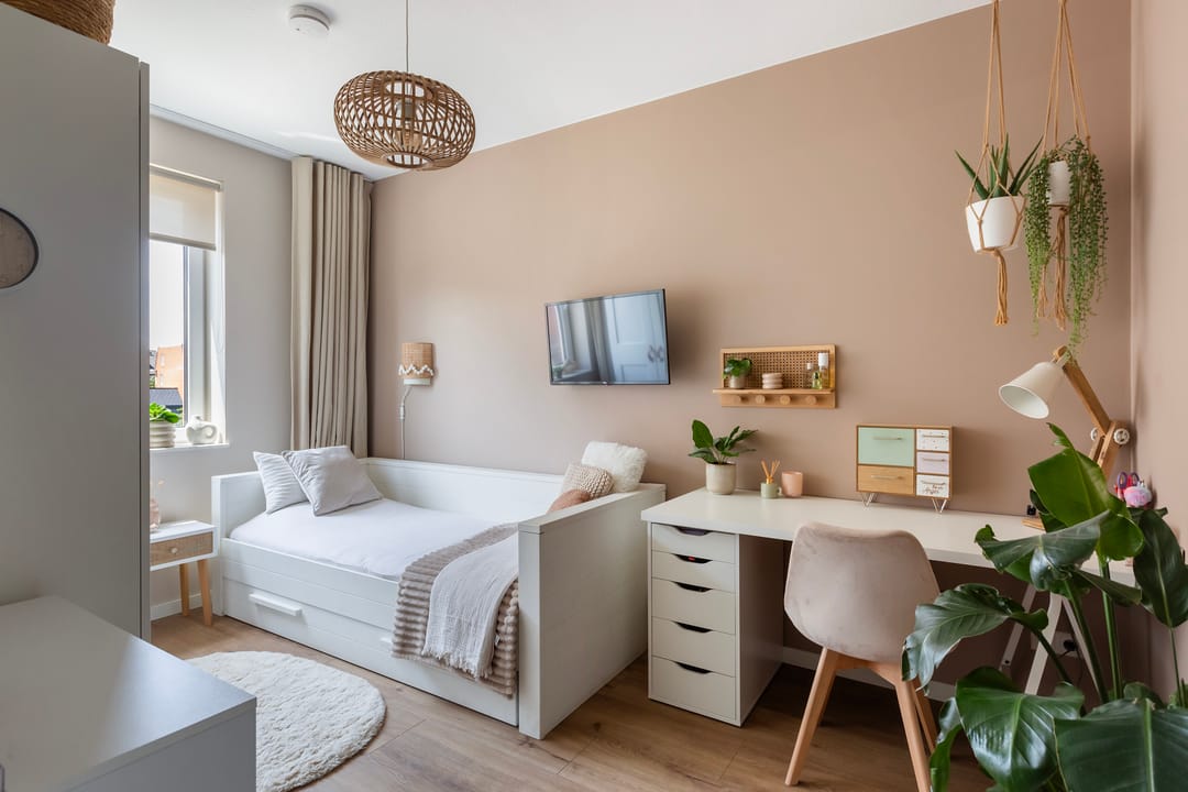 Foto 26 van Pluis 26