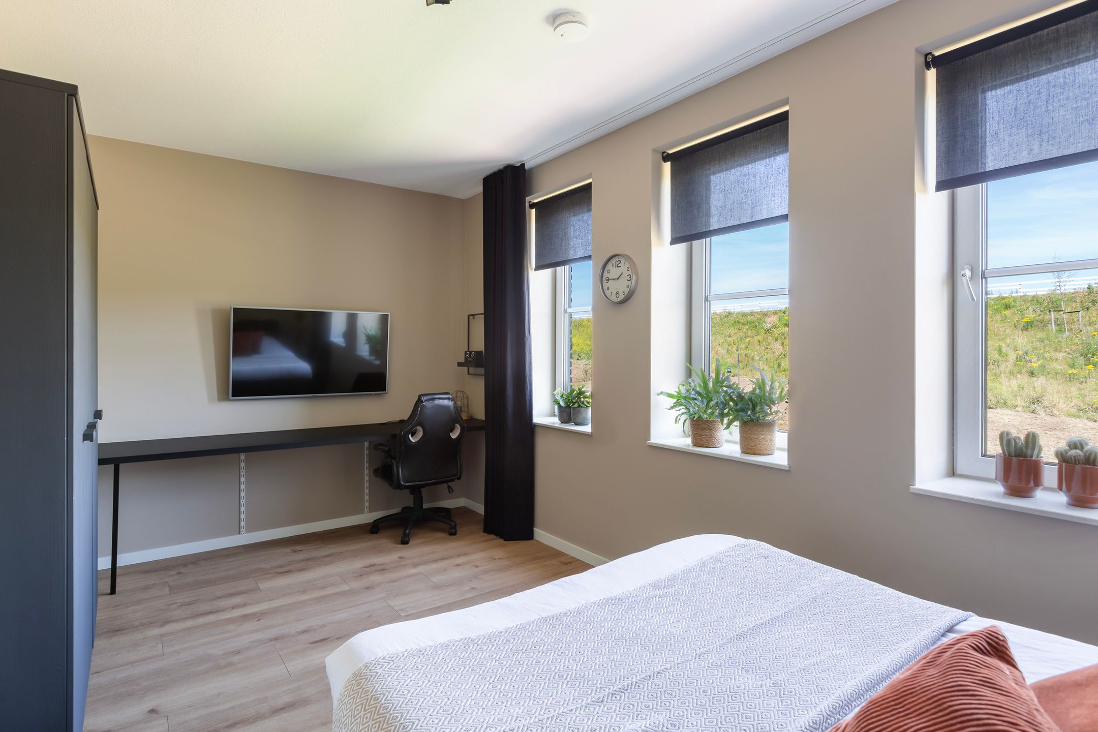 Foto 39 van Pluis 26