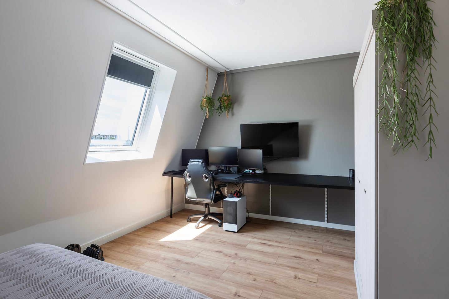 Foto 44 van Pluis 26