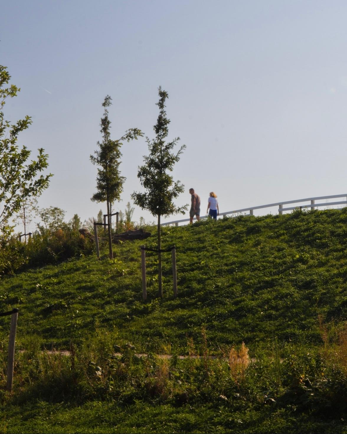 Foto 50 van Pluis 26