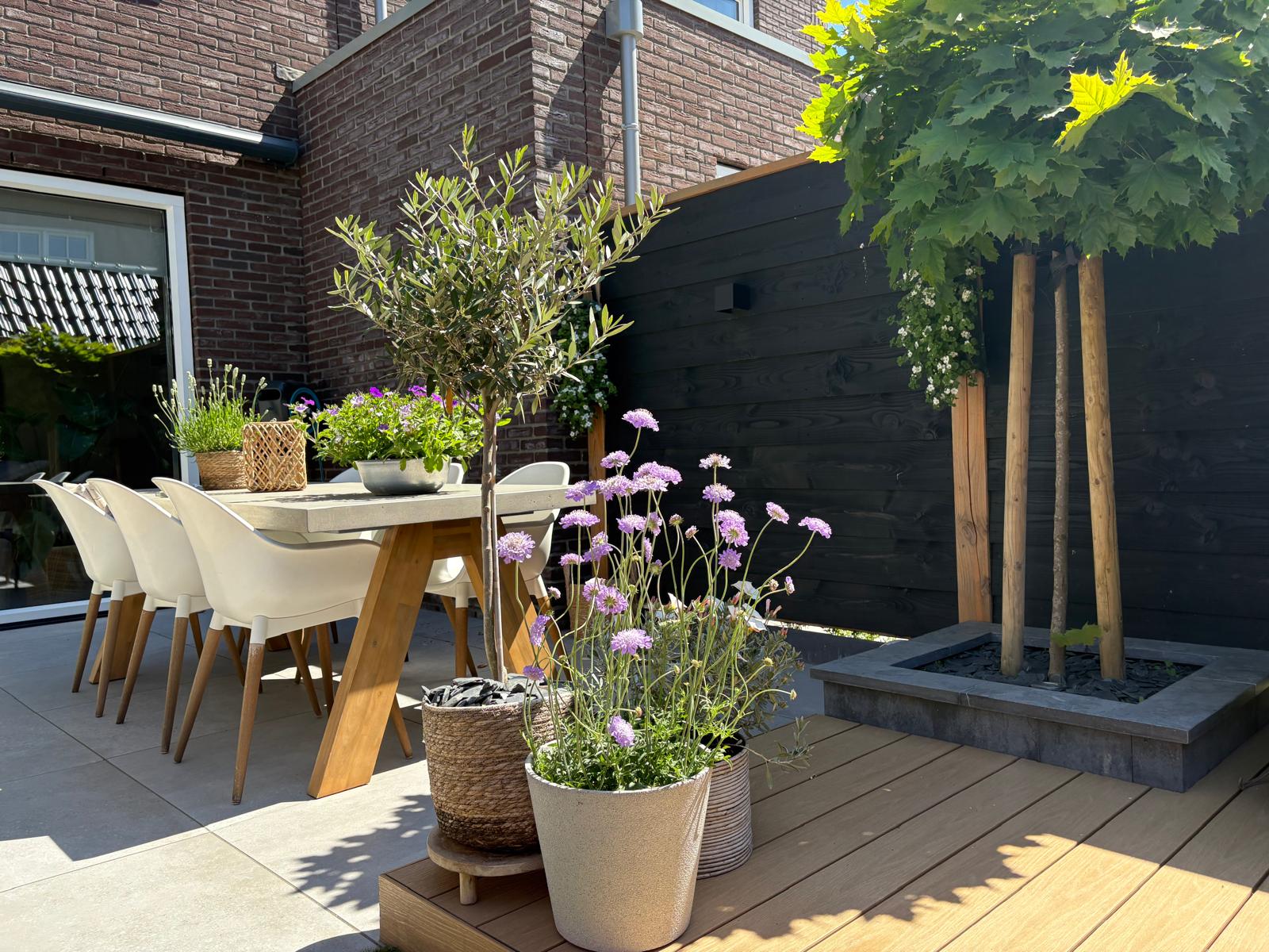 Foto 51 van Pluis 26