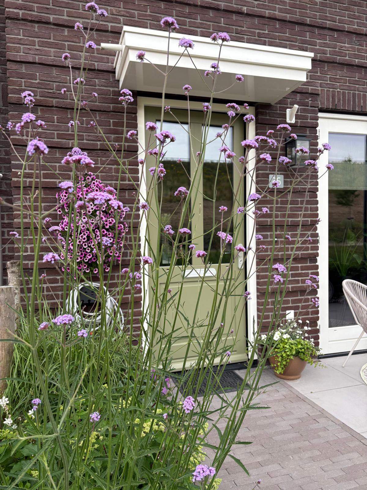 Foto 57 van Pluis 26