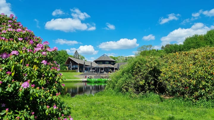 Foto 64 van Beatrixstraat 25