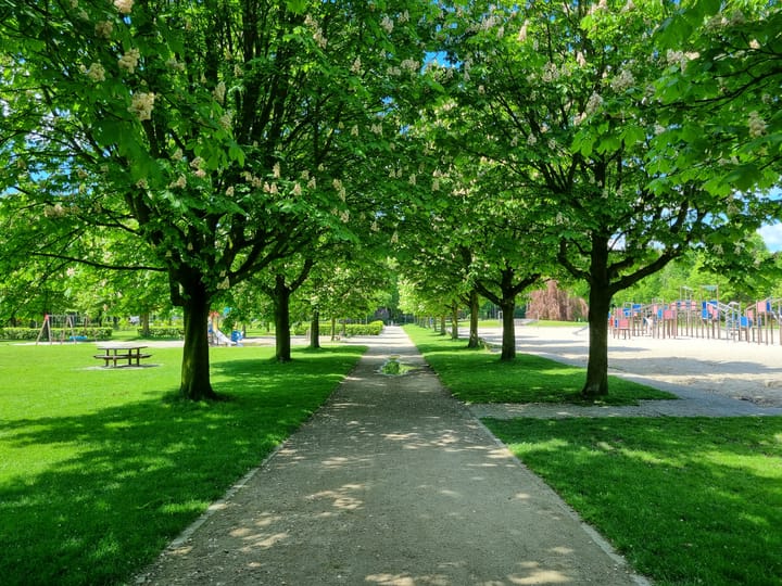 Foto 65 van Beatrixstraat 25