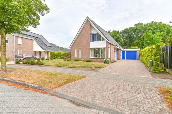 Foto 5 van Gentiaan 7