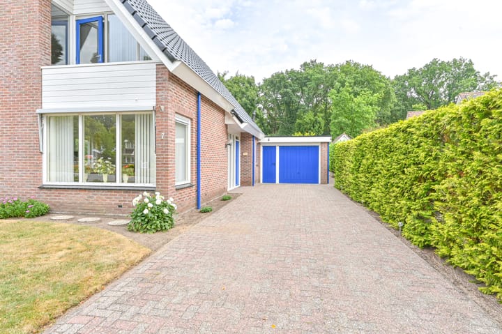 Foto 6 van Gentiaan 7