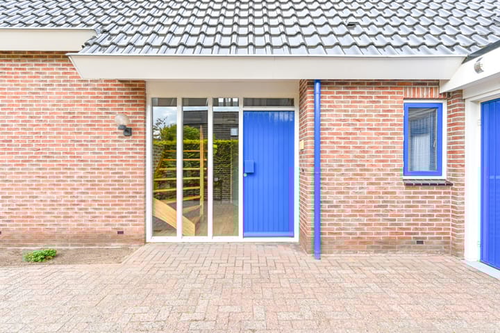 Foto 7 van Gentiaan 7