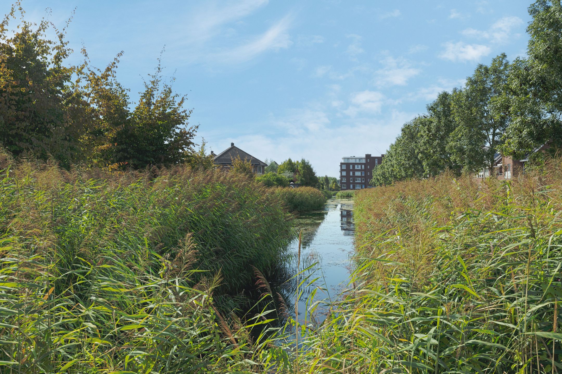 Photo 39 of Van Huessenleede 4