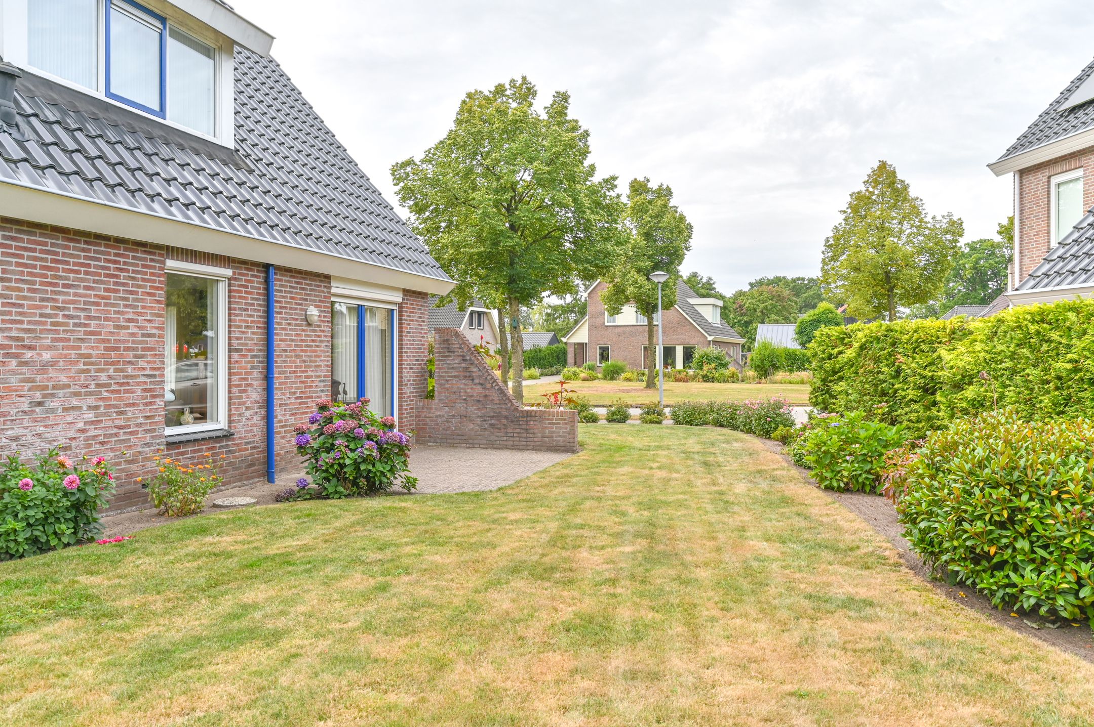 Foto 63 van Gentiaan 7