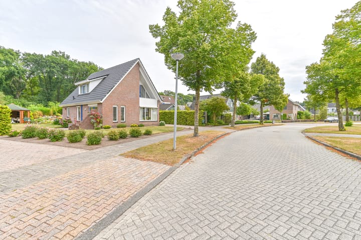 Foto 68 van Gentiaan 7