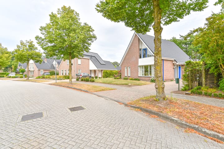 Foto 71 van Gentiaan 7