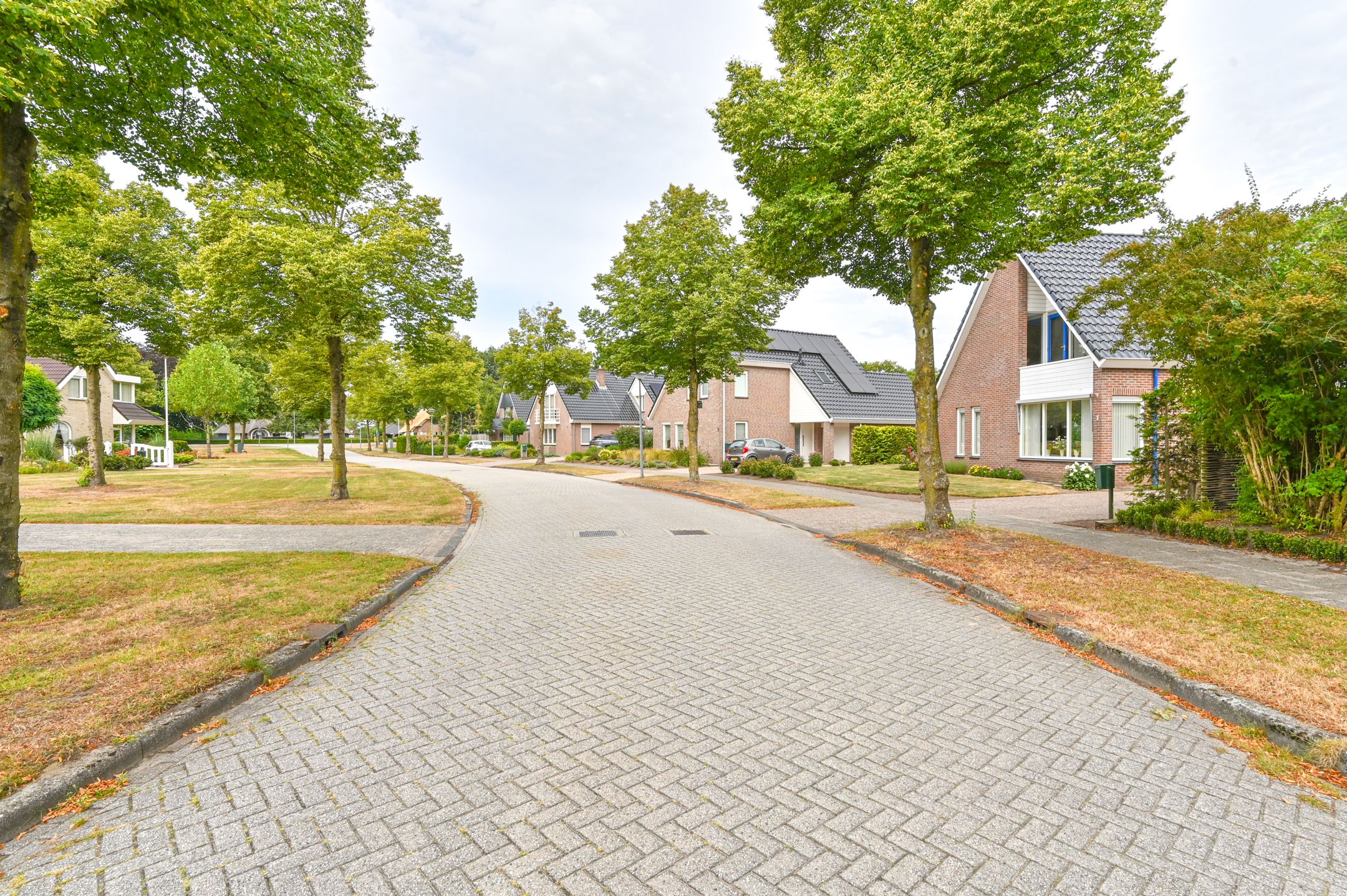 Foto 72 van Gentiaan 7