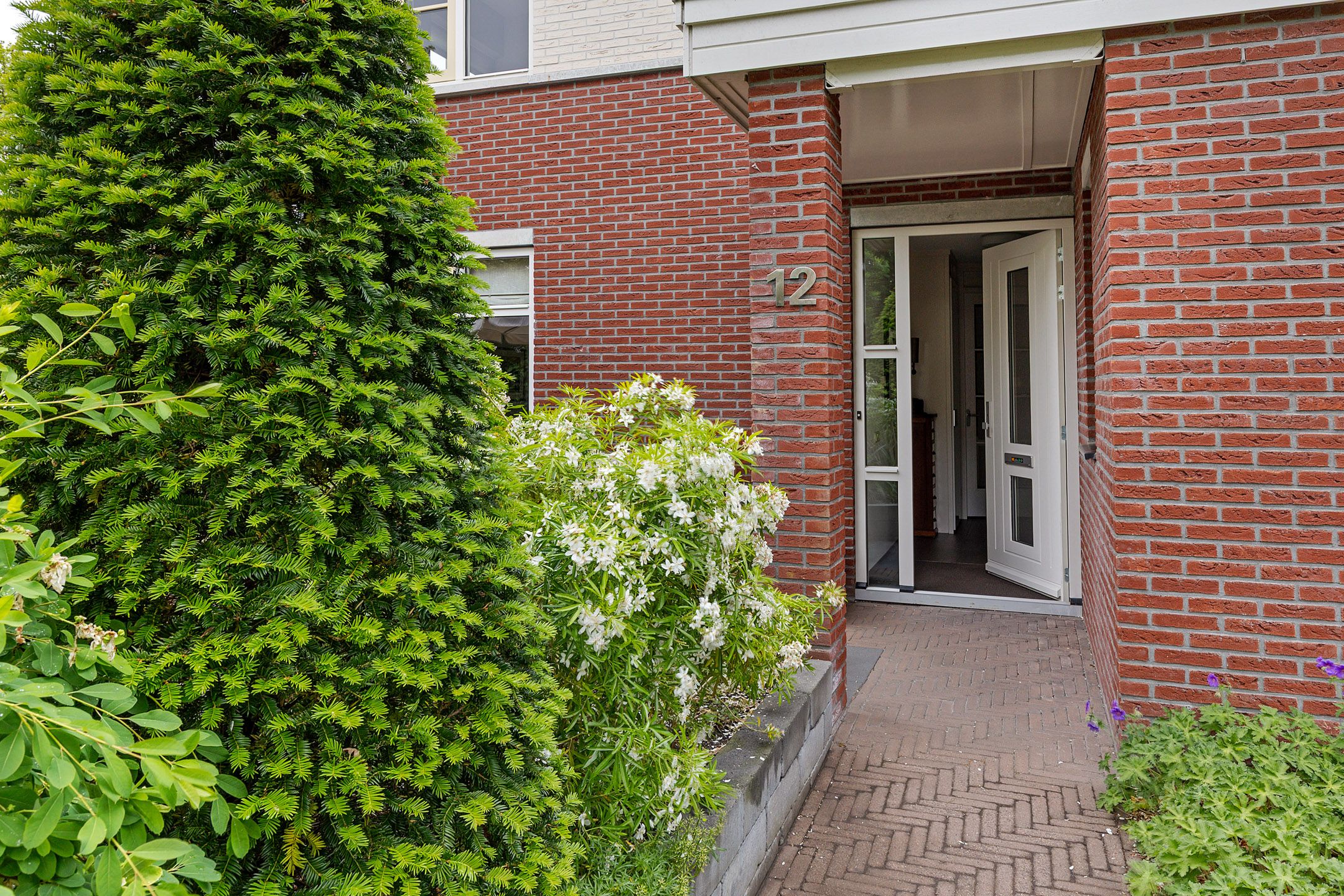 Foto 6 van Zwarte Els 12