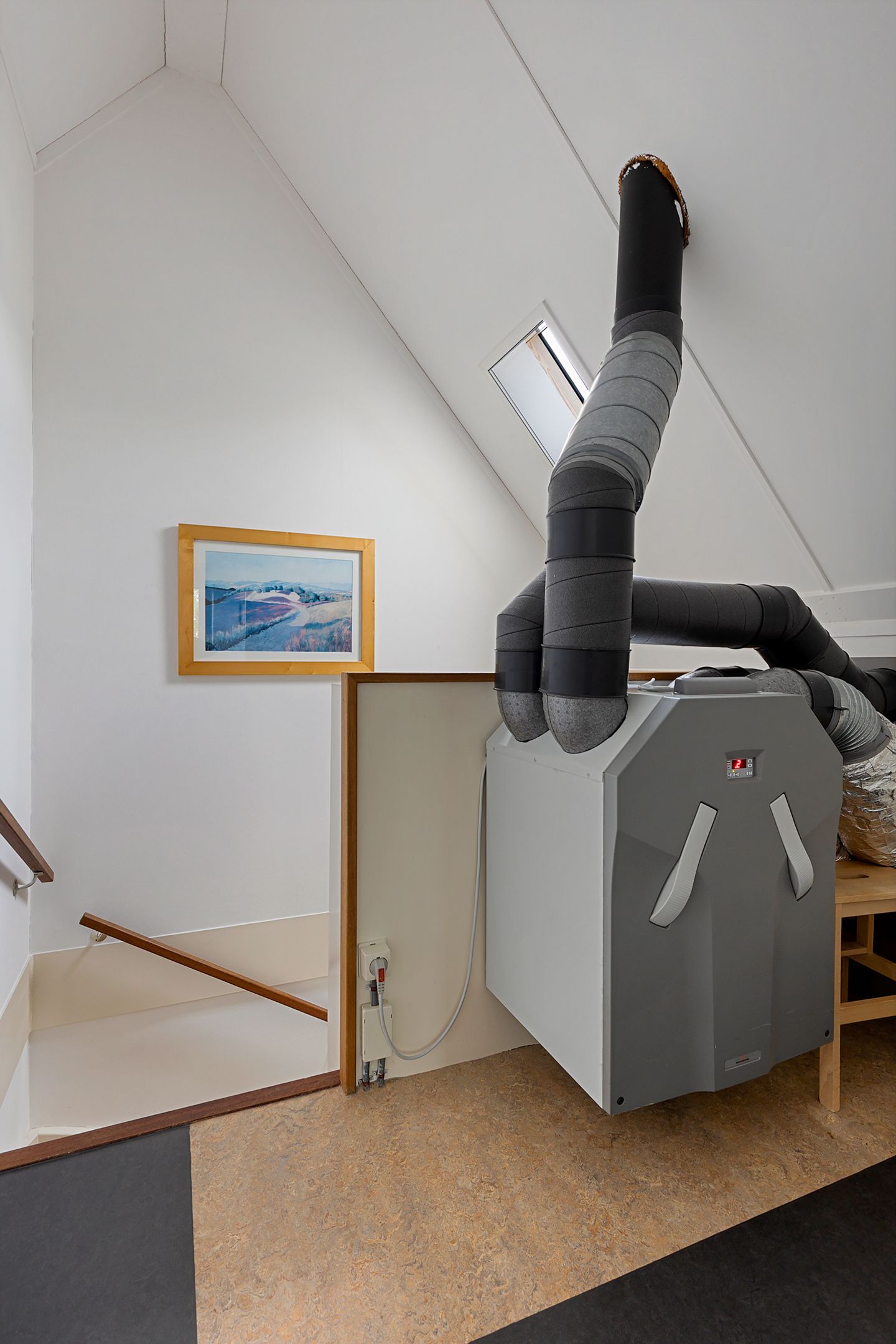 Foto 39 van Zwarte Els 12