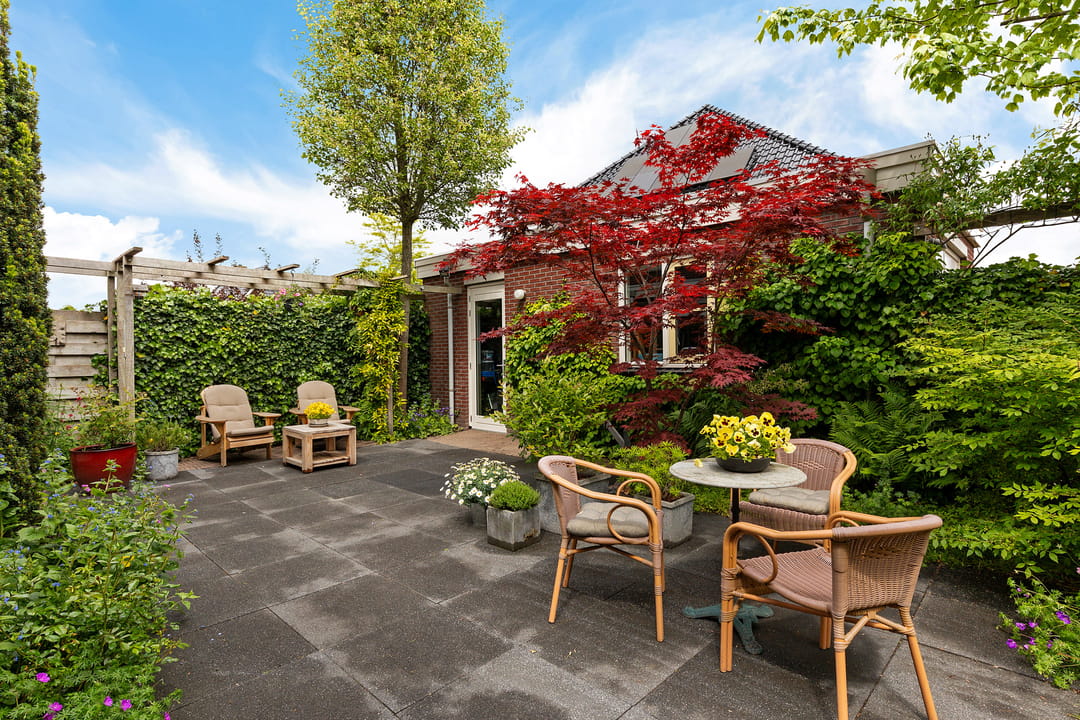 Foto 43 van Zwarte Els 12