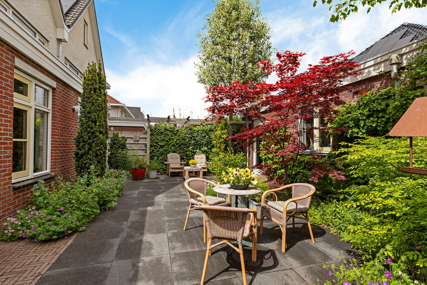 Foto 44 van Zwarte Els 12