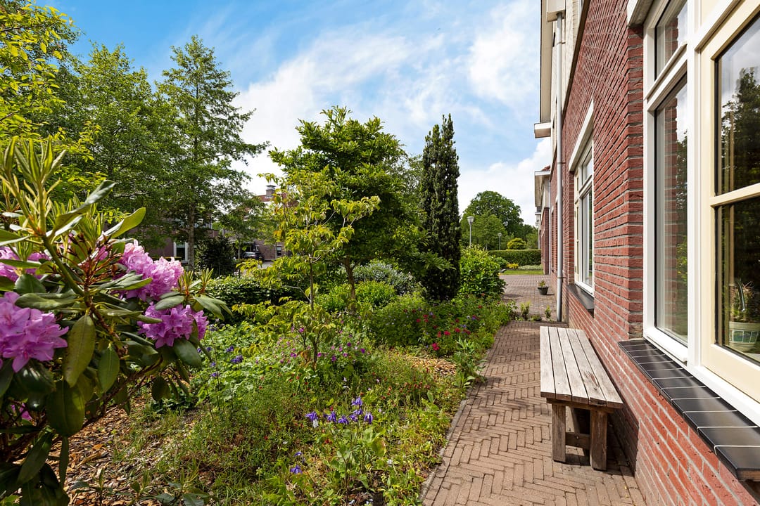 Foto 47 van Zwarte Els 12