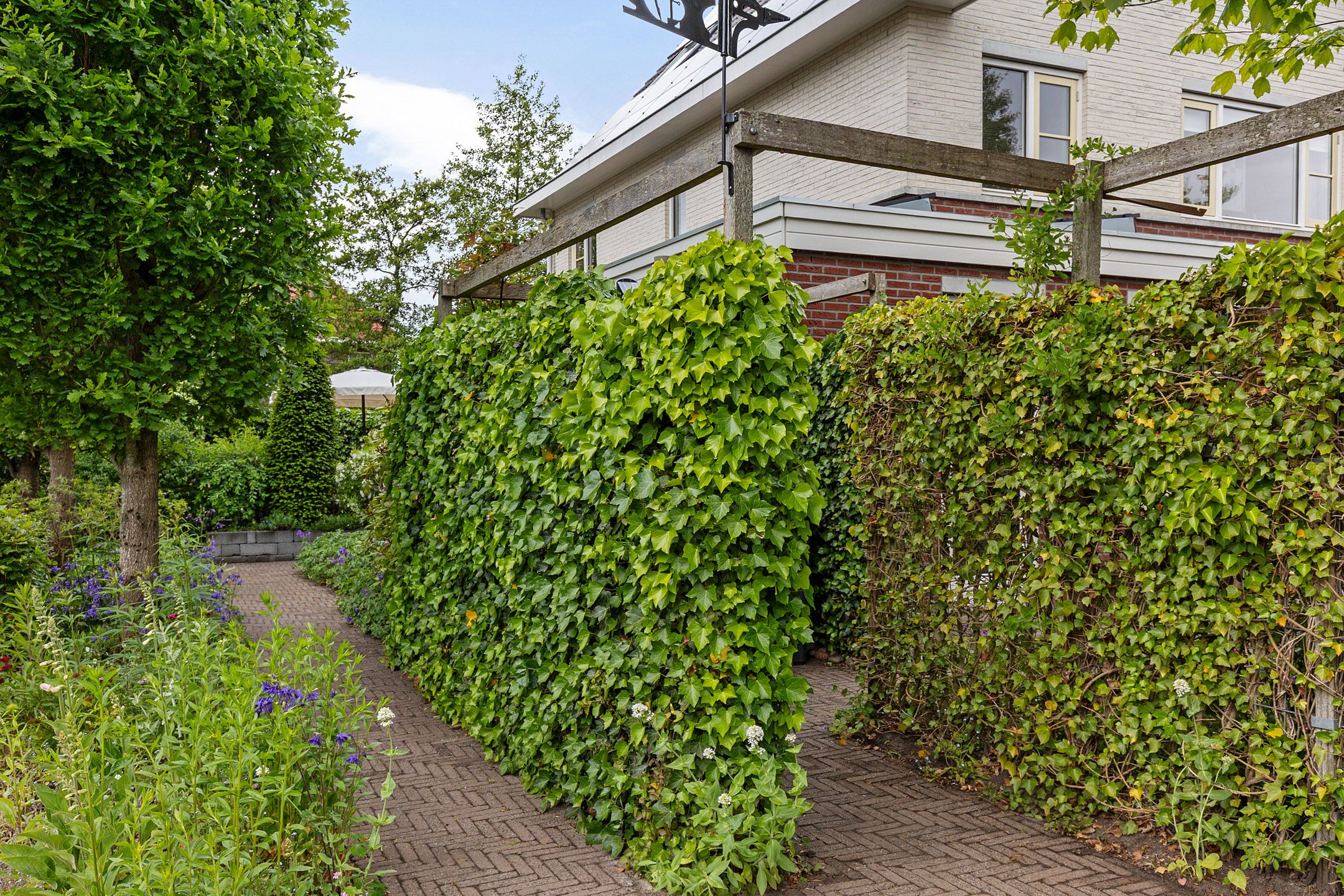 Foto 48 van Zwarte Els 12