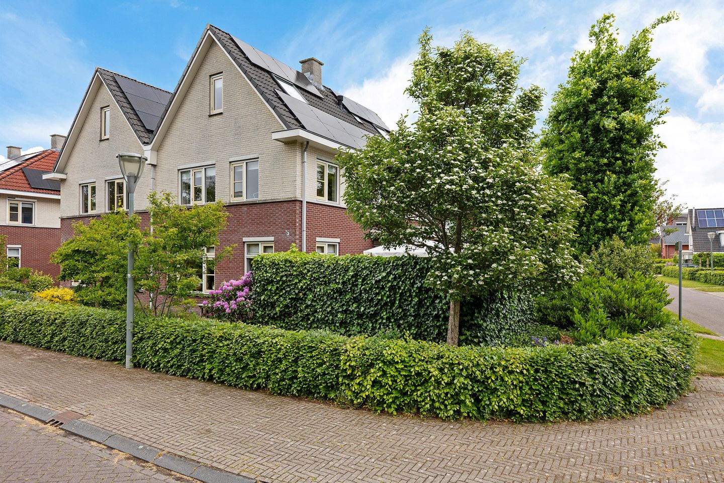 Foto 50 van Zwarte Els 12