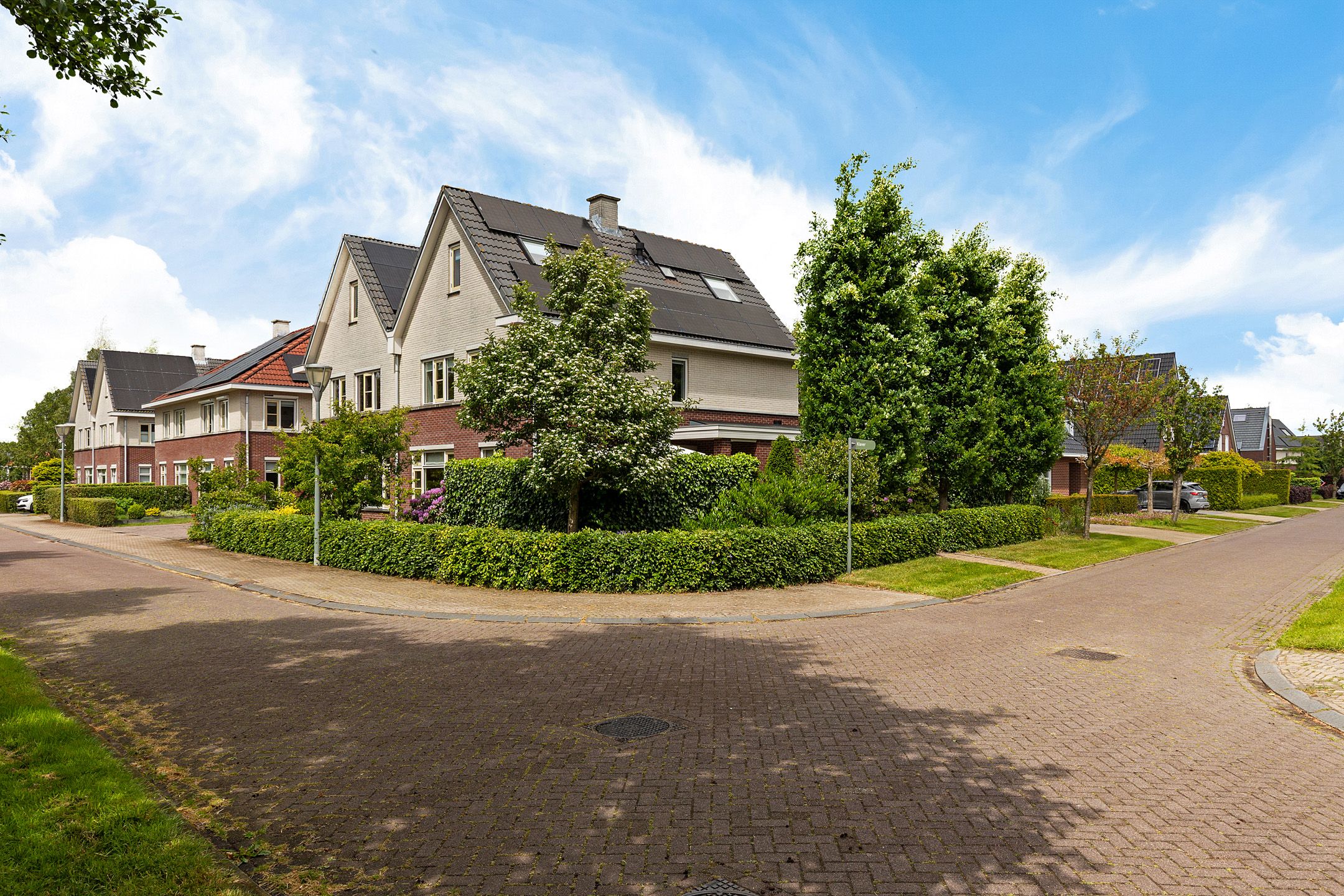 Foto 51 van Zwarte Els 12