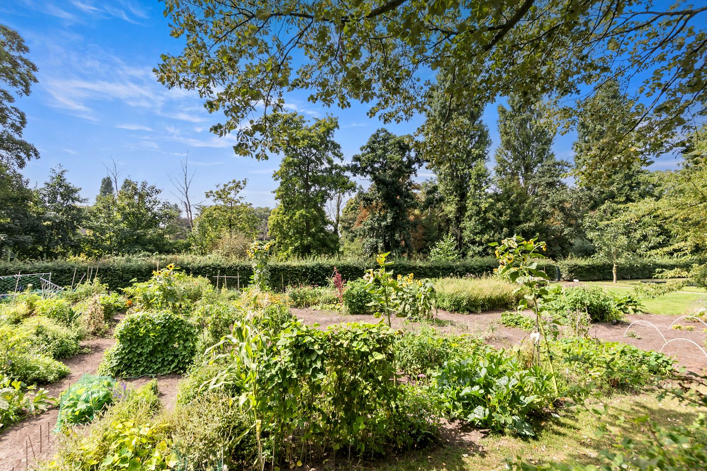 Photo 25 of Kamperfoeliestraat 149