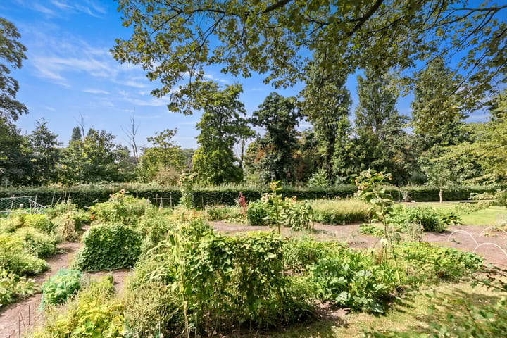 Foto 25 van Kamperfoeliestraat 149