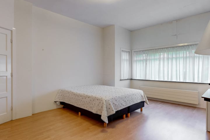 Foto 13 van Van Alkemadelaan 42