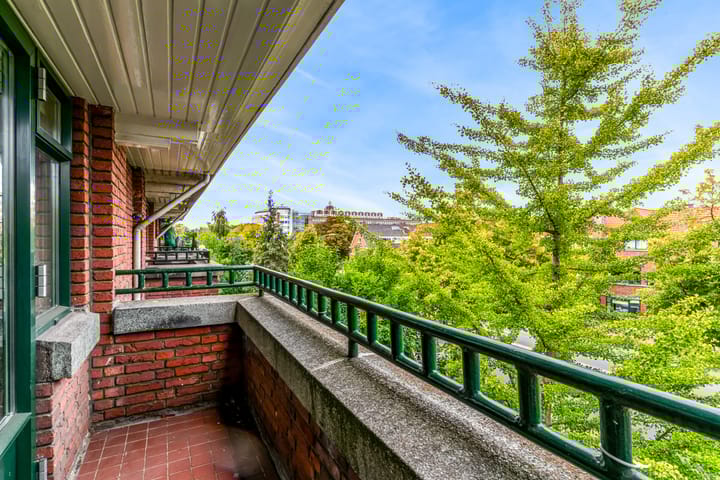 Foto 36 van Van Alkemadelaan 42